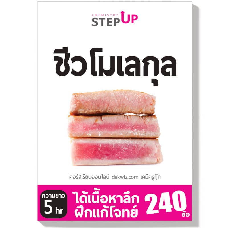 คอร์สเรียนเคมี StepUp แยกบท 13 dekwiz-stepup-ชีวโมเลกุล
